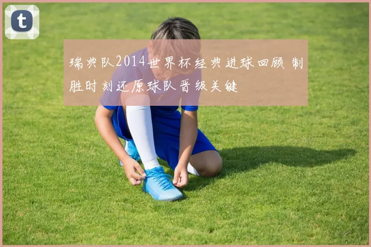 瑞典队2014世界杯经典进球回顾 制胜时刻还原球队晋级关键