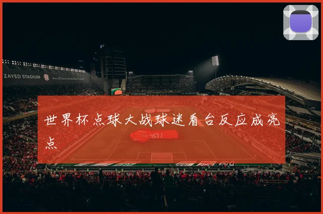 世界杯点球大战球迷看台反应成亮点