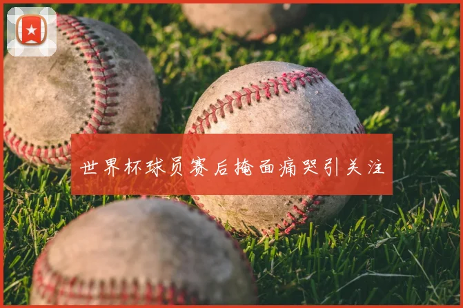 世界杯球员赛后掩面痛哭引关注