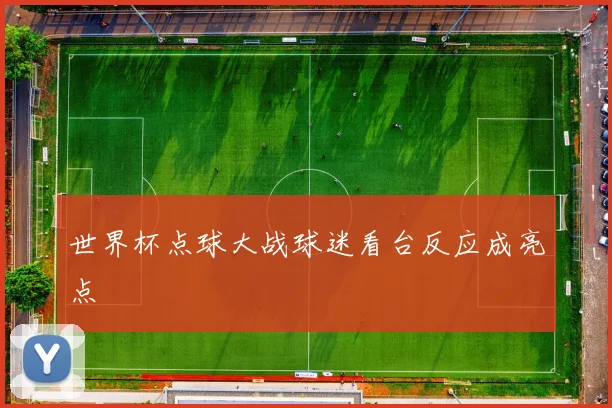 世界杯点球大战球迷看台反应成亮点
