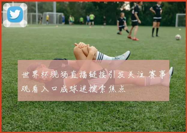 世界杯现场直播链接引发关注 赛事观看入口成球迷搜索焦点