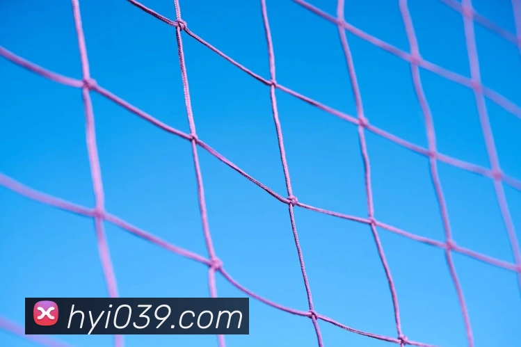 leyu乐鱼官方官网APP 体育赛事宣传图